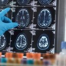 참포도나무병원 이미지