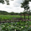 덕천강쉼터 이미지