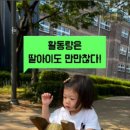 느티울근린공원 이미지