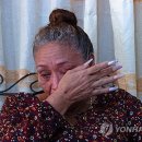 라그라피카 이미지