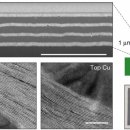 [2025 DAILY PICK 제185호] 韓 연구팀, 성능 100배 최고 수준 '전자파 차폐 기술' 개발…네이처 발표 이미지