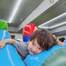 옥정 용인대 백호 태권도장 | 옥정태권도 아이들에게 인기많은 옥정용인대백호태권도장