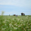 학원농장민박 이미지