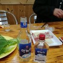 한그루게스트하우스 | 제주숙소 일몰명소 신창풍차해안 한그루게스트하우스