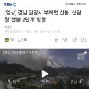 밀양 산불.. ㅡㅡ 굥 뭐하고 쳐 앉았냐 이미지