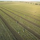 김정기 농장 이미지