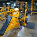 몸짱휘트니스 이미지