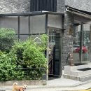 정릉34 | 정릉 오감공간 내돈내산 핸드드립전문카페 정릉반려동물동반카페