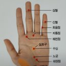 경락