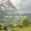 [W30. 신행준비3] 6박8일 일정 짜기 (융프라우패스 / 뮤지엄패스 / 파리 짐캐리)