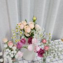 플로밋 이미지