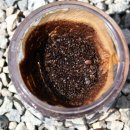 밤별2 캠핑장 이미지