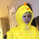 지온숲 이미지