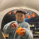 진밭골야영장 이미지