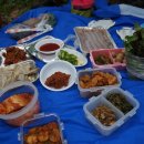 다라실 Daum카페