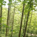 심심산골 이미지