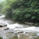 장수읍 신협 앞 이미지