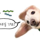 은경이네칼국수 이미지