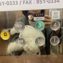 달달하개 이미지