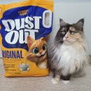 찾다 | 먼지없는 모래를 찾다 발견한 쉬즈곤 먼지아웃 벤토나이트 후기