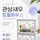 드림키즈미술학원