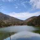 부산진구-31 이미지