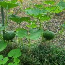 아침에풍경 이미지