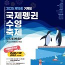 거제도국제펭귄수영축제 이미지