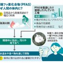 검출 잇따르는 '영원한 화학물질'. 구미에서 규제 강화의 움직임. 일본은? 이미지
