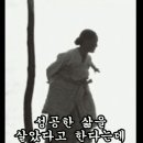송미향