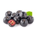 아로니아 이미지