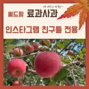 씨드팜