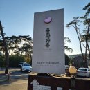 강릉D마트 | [강원/강릉] 동화가든 본점 비조리 포장 후기