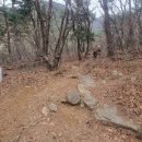 파랑새39