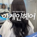 대전 목원대 미용실 [아케인헤어] 그레이스펌 후기