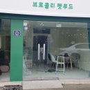 브로콜리 펫푸드 이미지