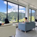 새온농원 | 정관 카페추천 | 산속 브런치카페, 애견동반 가능한 제전농원 🍃 솔직 후기