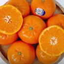 소문난 야채과일 이미지