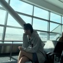 유니버샬항공여행사㈜ | 뉴욕 JFK 공항, 올랜도 MCO 공항, 멕시코 칸쿤 공항 이용 후기