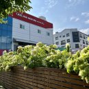 용화점 기아오토큐 이미지