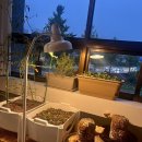 바다텃밭 Lab 이미지