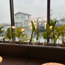 할리스 평택이충DT점 이미지