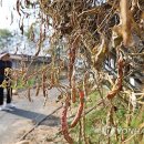 진양가구 이미지