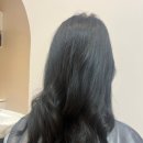 십이월헤어 이미지