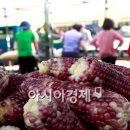 삼기체육관 아시아경제