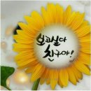 보고싶다친구야 - 논산시 | 보고싶다친구야