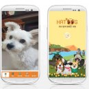 스마트독까페 이미지