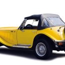 쌍용(아) 이미지