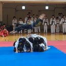 신내 KCL 합기도 이미지