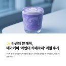 라벤더 까페 | 🔥몽환적 비주얼✨ 메가커피 ‘라벤더 카페라떼’ 솔직 후기